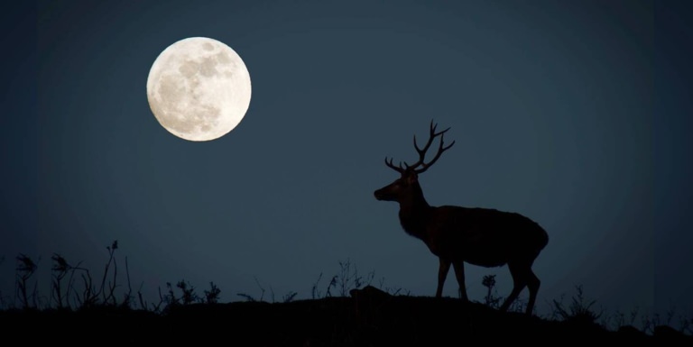 În această seară, Luna Plină va domina cerul de vară