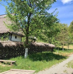 Vânătoarea de comori revine la Muzeul Satului din Baia Mare