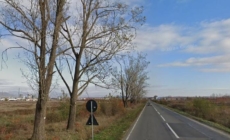 Șoferi, atenție! Restricții de circulație pe strada Europa din Baia Mare