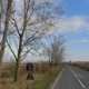 Șoferi, atenție! Restricții de circulație pe strada Europa din Baia Mare
