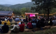 Mircea Baniciu revine în Maramureș. Concert în aer liber la Căruțele din Deal