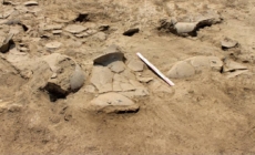 Descoperire arheologică importantă în comuna Apa