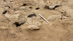 Descoperire arheologică importantă în comuna Apa