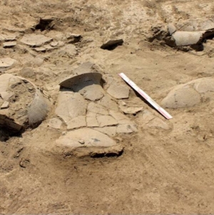 Descoperire arheologică importantă în comuna Apa