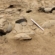 Descoperire arheologică importantă în comuna Apa