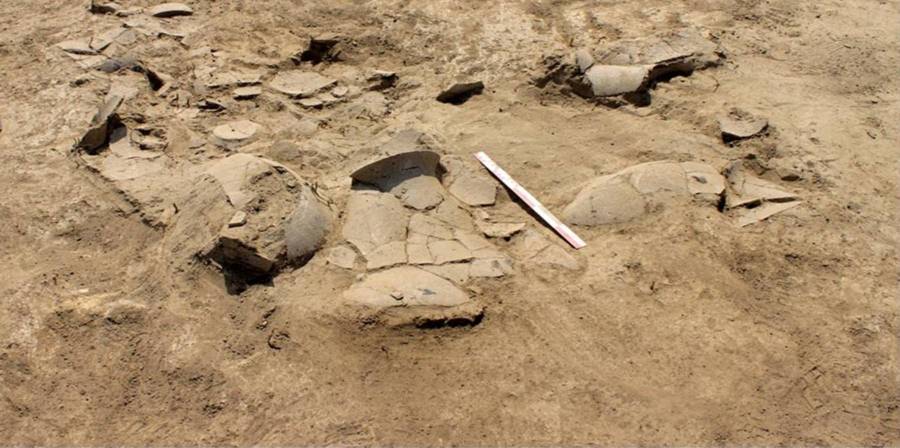 Descoperire arheologică importantă în comuna Apa