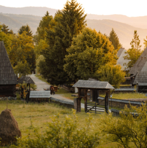 Muzeul Satului Maramureșan din Sighetu Marmației găzduiește „Maramureș International Film Festival”