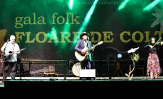 Urmează două zile de muzică folk la Sighetu Marmației; Cine sunt concurenții admiși la Festivalul Național-Concurs „Floare de colț”