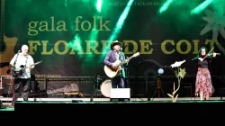 Urmează două zile de muzică folk la Sighetu Marmației; Cine sunt concurenții admiși la Festivalul Național-Concurs „Floare de colț”