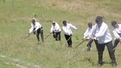 Se organizează clacă de coasă la Muzeul Maramureșului din Sighetu Marmației