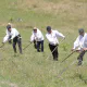 Se organizează clacă de coasă la Muzeul Maramureșului din Sighetu Marmației