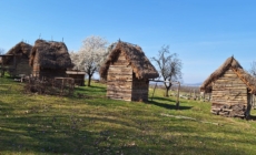 Eveniment caritabil pentru copiii cu dizabilități la Satul Dacic din Groși