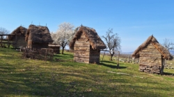 Eveniment caritabil pentru copiii cu dizabilități la Satul Dacic din Groși