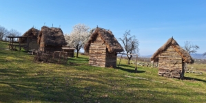 Eveniment caritabil pentru copiii cu dizabilități la Satul Dacic din Groși
