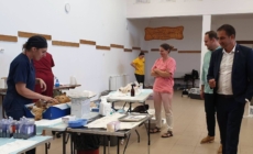 Bilanț pozitiv la Groși: 190 de animale sterilizate în cadrul campaniei inițiate de Asociația Salvați Animalele