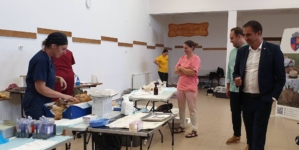 Bilanț pozitiv la Groși: 190 de animale sterilizate în cadrul campaniei inițiate de Asociația Salvați Animalele