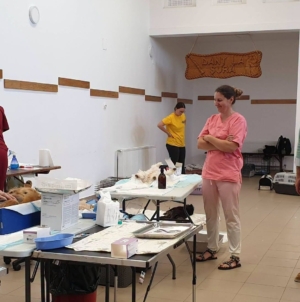 Bilanț pozitiv la Groși: 190 de animale sterilizate în cadrul campaniei inițiate de Asociația Salvați Animalele