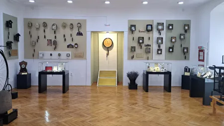 De Ziua Maramureșului: Intrare liberă la Muzeul Județean de Istorie și Arheologie Baia Mare