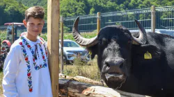 Bivolul, sărbătorit la Suciu de Jos. Un festival care pune în valoare tradițiile Țării Lăpușului