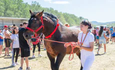Mii de oameni au luat parte la prima ediție a evenimentului AgroMaramureș de la Mireșu Mare