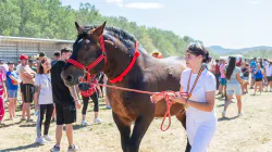 Mii de oameni au luat parte la prima ediție a evenimentului AgroMaramureș de la Mireșu Mare