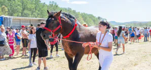 Mii de oameni au luat parte la prima ediție a evenimentului AgroMaramureș de la Mireșu Mare