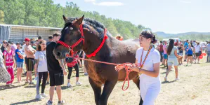 Mii de oameni au luat parte la prima ediție a evenimentului AgroMaramureș de la Mireșu Mare
