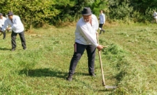 S-a organizat clacă de coasă la Sighetu Marmației