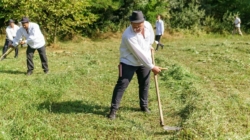 S-a organizat clacă de coasă la Sighetu Marmației