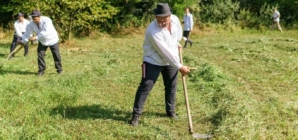 S-a organizat clacă de coasă la Sighetu Marmației