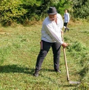 S-a organizat clacă de coasă la Sighetu Marmației