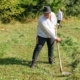 S-a organizat clacă de coasă la Sighetu Marmației