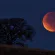 Eclipsă de Lună în această noapte. Fenomenul va fi vizibil și din Maramureș