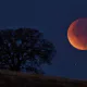 Eclipsă de Lună în această noapte. Fenomenul va fi vizibil și din Maramureș