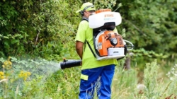 Dezinsecție împotriva țânțarilor și căpușelor în Baia Mare, din 17 august. Intervențiile se fac pe timpul nopții