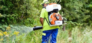 Dezinsecție împotriva țânțarilor și căpușelor în Baia Mare, din 17 august. Intervențiile se fac pe timpul nopții