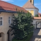 Eveniment special la Baia Mare, la 570 de ani de la moartea lui Iancu de Hunedoara