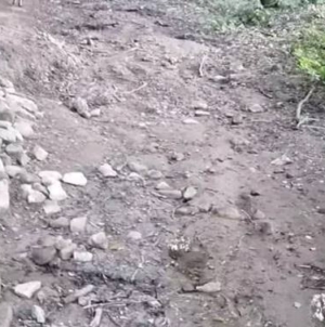 Seceta începe să lase robinetele fără apă în Maramureș
