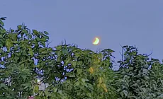 Prognoza meteo Maramureș, vineri 28 august 2026