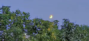 Prognoza meteo Maramureș, vineri 28 august 2026