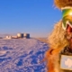 Noi ne topim, Antarctica îngheață. O planetă care știe să ne amintească de extreme