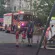 Clipe de groază în Baia Mare! Un copil de 2 ani, salvat de pompieri de pe pervazul unui bloc