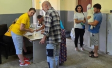 A început campania de sterilizare gratuită a câinilor și pisicilor în Tăuții-Măgherăuș