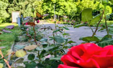 Prognoza meteo Maramueș, sâmbătă 29 august 2026