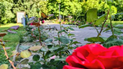 Prognoza meteo Maramueș, sâmbătă 29 august 2026