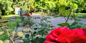 Prognoza meteo Maramueș, sâmbătă 29 august 2026