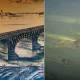 Dunărea își dezvăluie secretele: epave naziste, muniție, un pod roman și rămășițe de mamut ies de sub ape