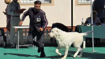Dog Show 2026 se desfășoară în acest weekend la Tăuții-Măgherăuș