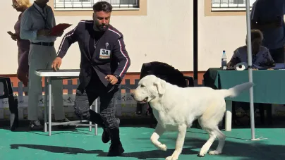 Dog Show 2026 se desfășoară în acest weekend la Tăuții-Măgherăuș