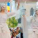 Zânele Celestial și Nature Fairies fac spectacol la Sărbătoarea Castanelor
